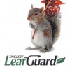 Leafguard Of The SE Carolina
