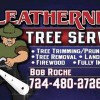 Leatherneck Tree Service