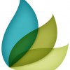 Legacy Tree Genealogy
