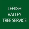 Lehigh Valley Tree Service