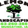 Lemon Landscaping