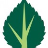 Level Green Landscaping