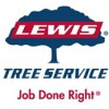 Lewis Tree Service