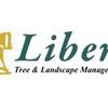 Liberty Tree Service & Landscape