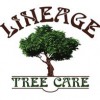 Lineage Tree Care