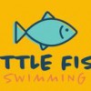 Little Fish Swimming