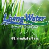 Living Water Spray Service