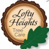 Lofty Heights Logging