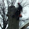 Climb-Ax Tree Service