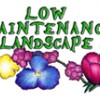 Low Maintenance Landscape