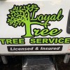 Loyal Tree Tree Service