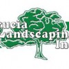 Lucia Landscaping