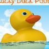 Lucky Duck Pools