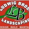 Ludwig Brothers
