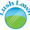 Lush Lawn