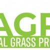 Miami Artificial Turf & Landscaping Design