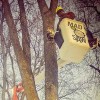 Madsaw Tree Service