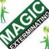 Magic Exterminators