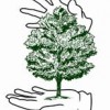 Magic Hands Tree Services