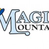 Magic Mountain Chimney Sweeps