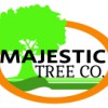 Majestic Tree