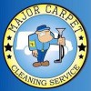 Major Carpet Cleaning Service