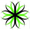 Makaira Design + Build