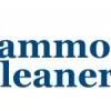 Mammoth Cleaners