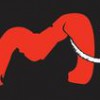Mammoth Restoration & Construction