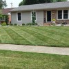 H.D. Lawn Care