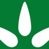Rainier Investments Div-MJJ