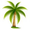 Mansfield Landscaping