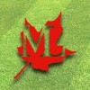 Maple Leaf Landscaping & Maintenance