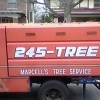 Marcell's Tree Service