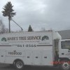 Mark's Tree Service