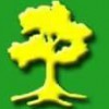 Martin Landscape Service