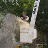 Martin Tree Service