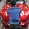 MasterShield Paint Protection & Window Tint