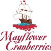 Mayflower Cranberries