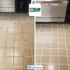 Moonlight Carpet Cleaning Services