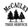 McCauley Tree & Landscaping Services