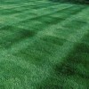 McFall & Berry Landscape Management