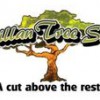 McMillan Tree Service