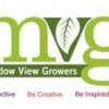 Meadow View Group