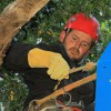 Merlin Arborist Group