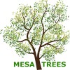 Mesa Trees