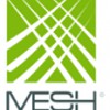 MESH Consulting