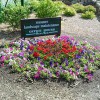 Messner Landscape Maintenance
