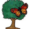 Metamorphosis Landscaping