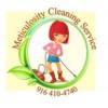 Meticulosity Cleaning Svc